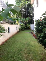 Clementi Park (D21), Detached #582423031